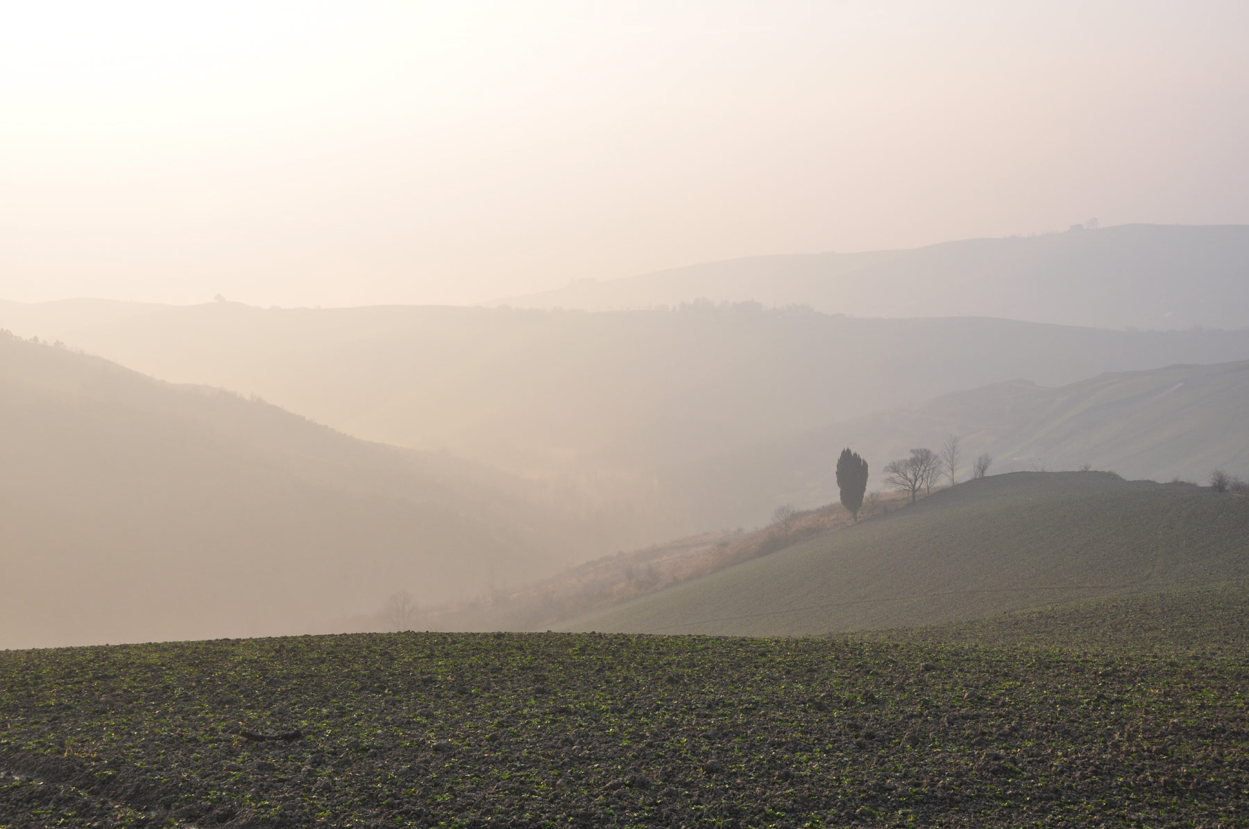 Emilia-Romagna